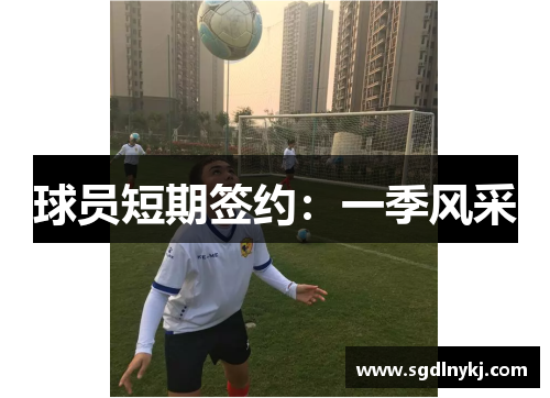 球员短期签约：一季风采