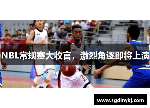 NBL常规赛大收官，激烈角逐即将上演